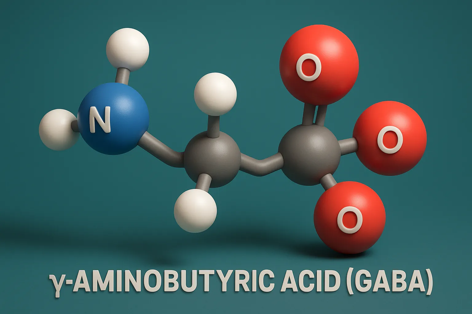 γ-Aminobutyric Acid (GABA)