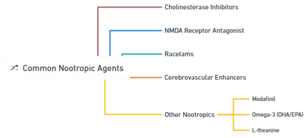 Common Nootropic Agents