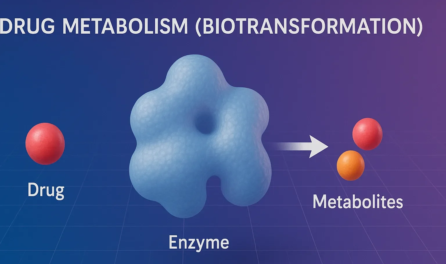 Drug Metabolism (Biotransformation)