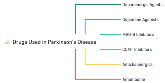 Drugs Used in Parkinson’s Disease
