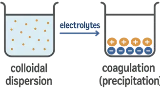 Effect of Electrolytes on Colloidal Stability