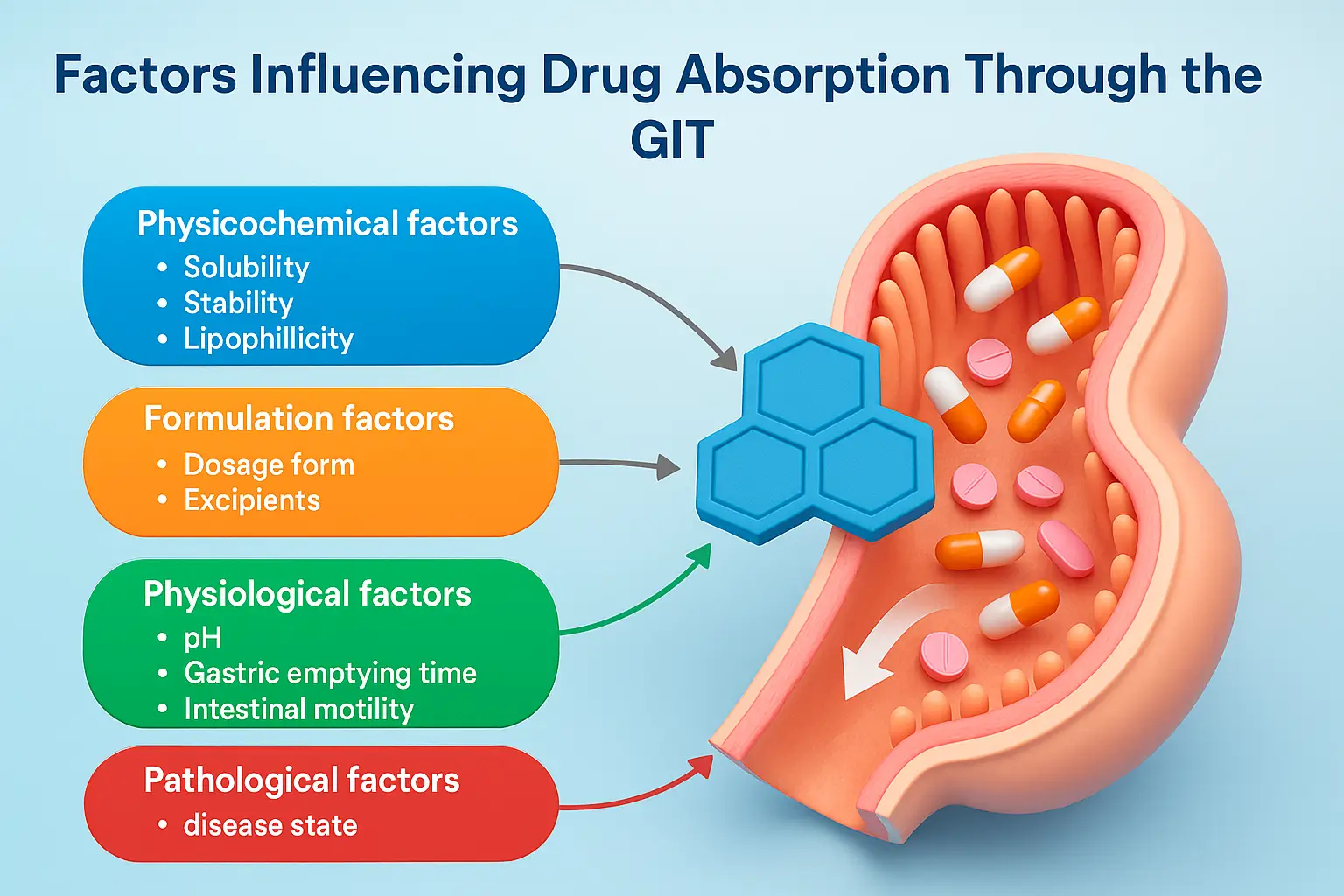 Factors Influencing Drug Absorption Through the Gastrointestinal Tract (GIT)