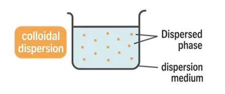 Introduction to Colloidal Dispersions