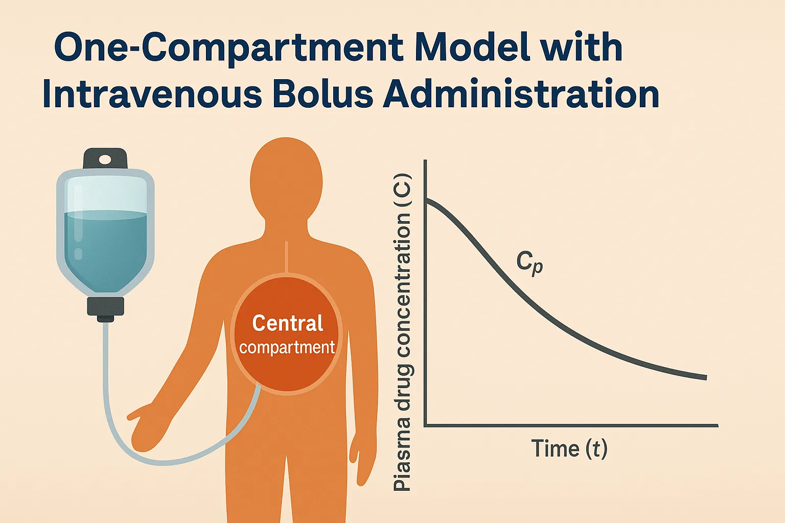 One-Compartment Model with Intravenous Bolus Administration