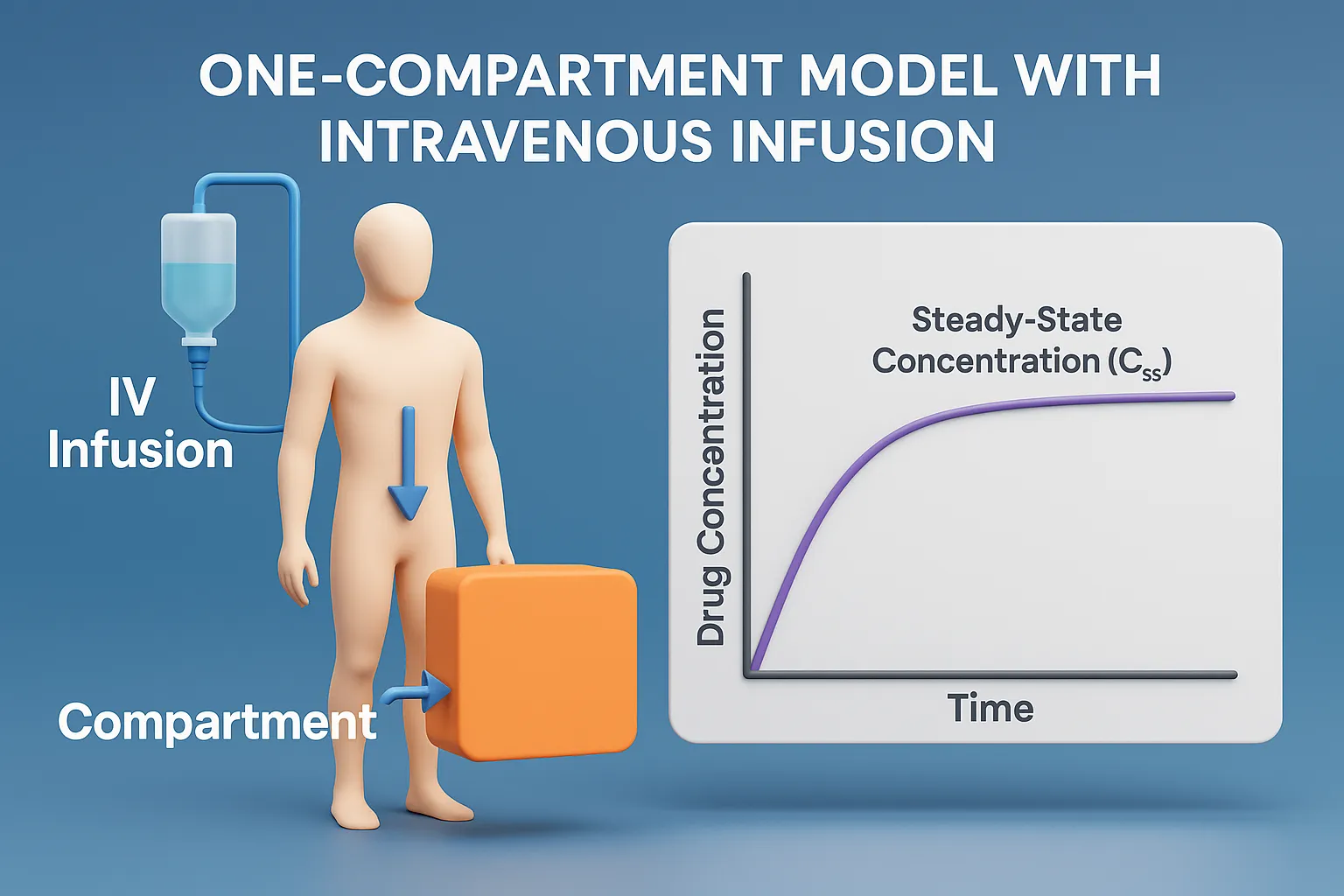 One-Compartment Model with Intravenous Infusion