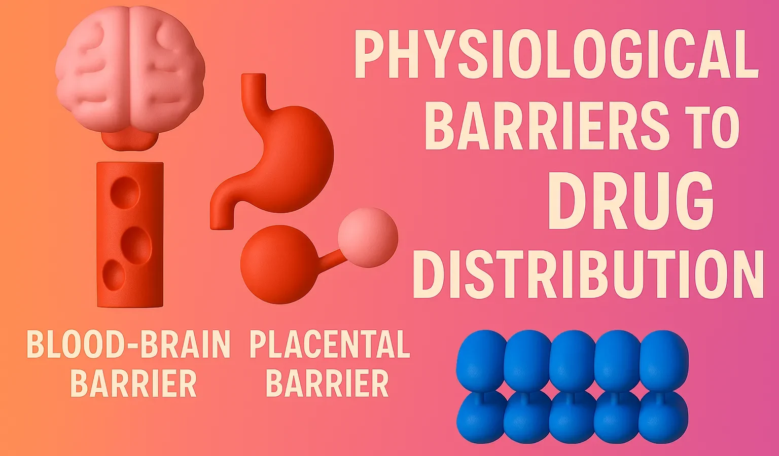 Physiological Barriers to Drug Distribution