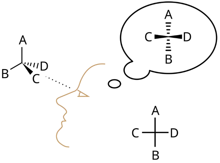 Presentation of Molecules