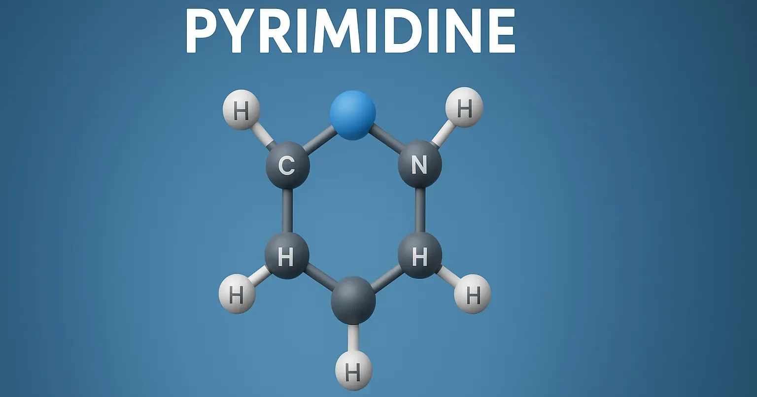 Pyrimidine