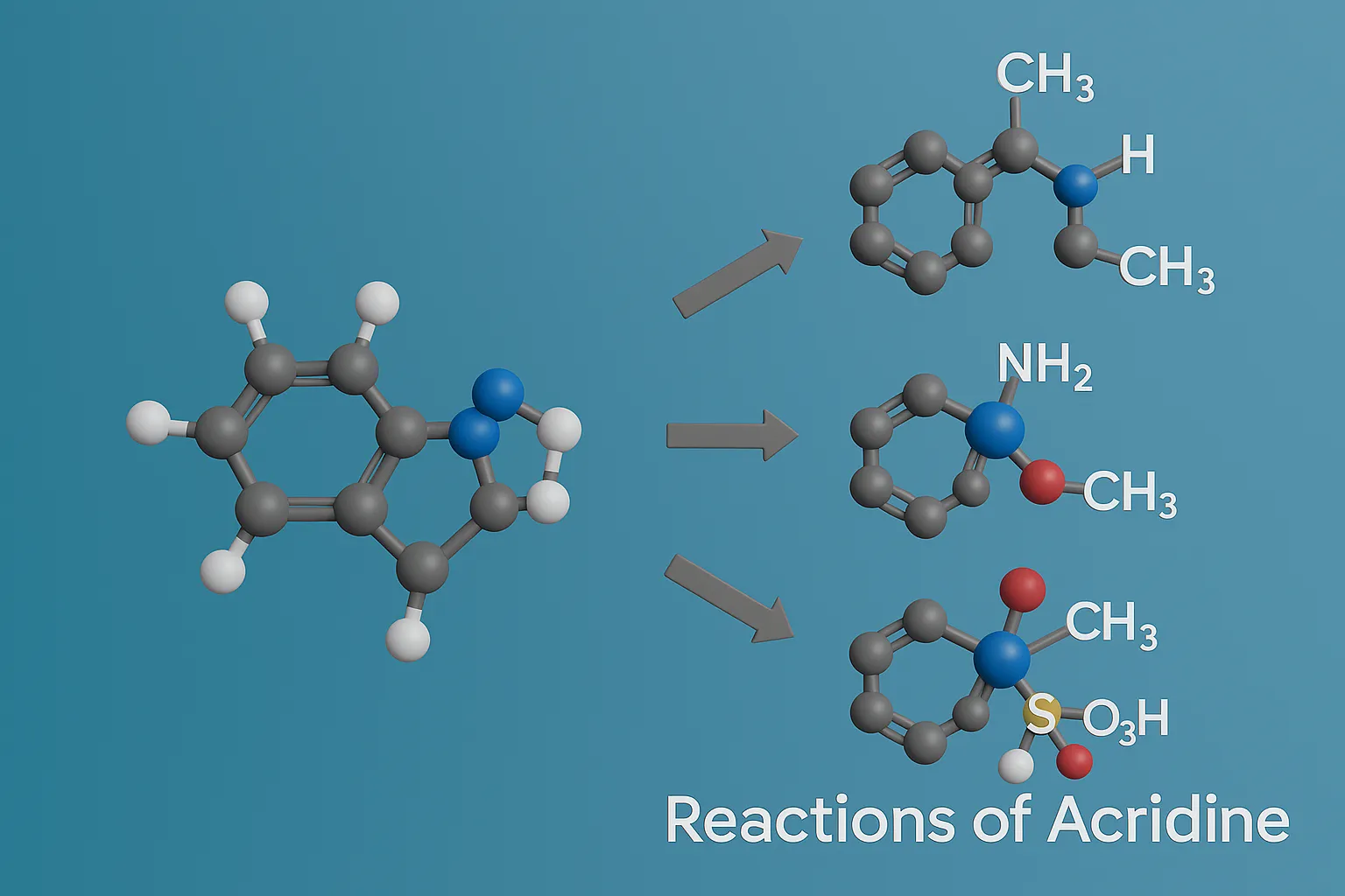 Reactions of Acridine