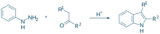 Synthesis of Indole