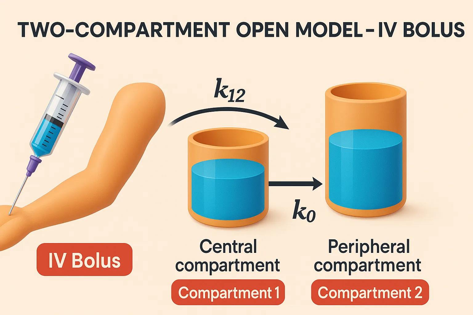 Two Compartment Open Model - IV Bolus