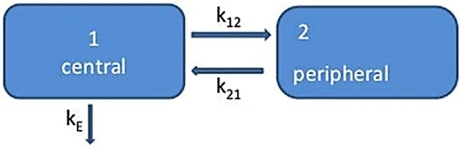 Two Compartment Open Model - IV Bolus