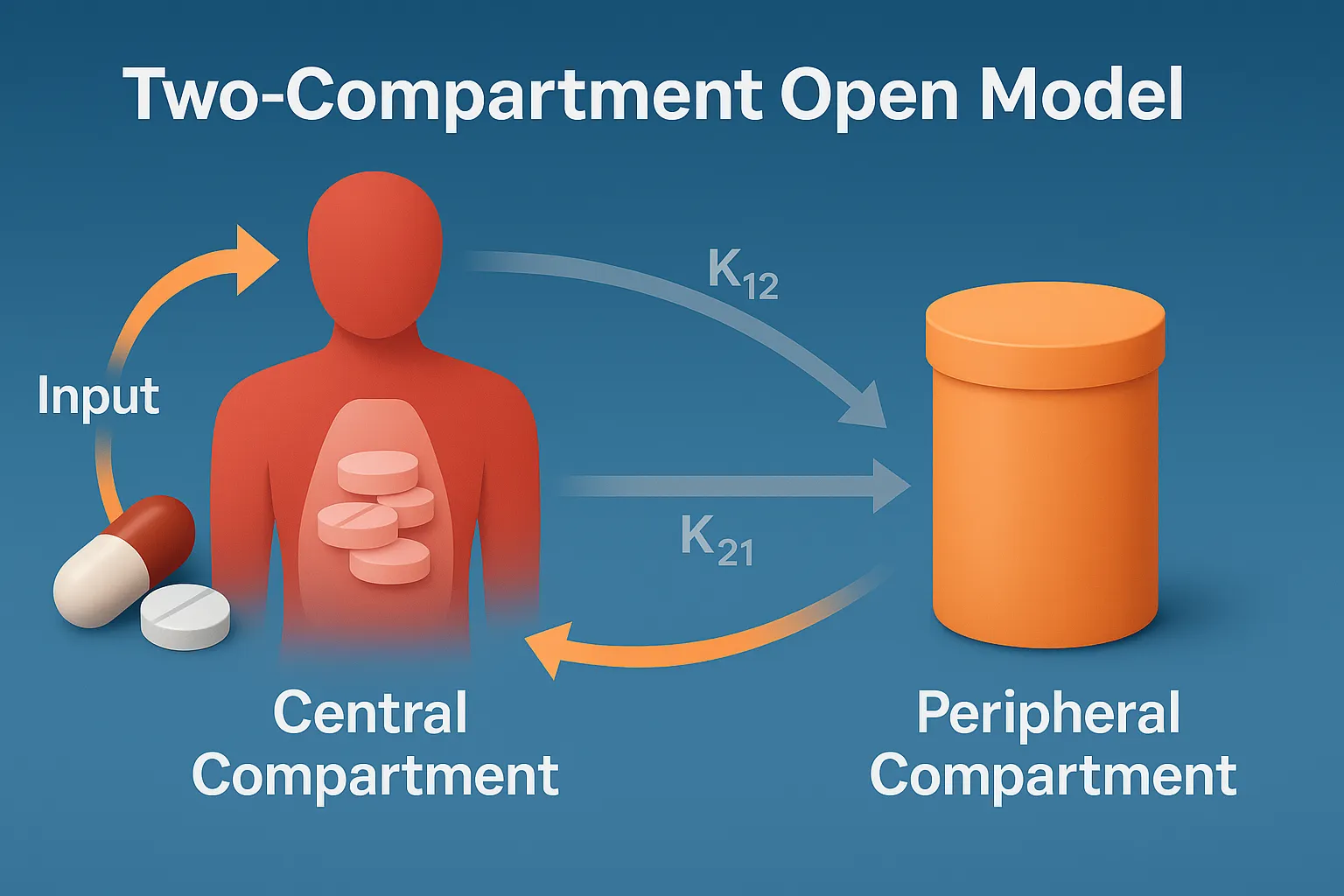 Two-Compartment Open Model