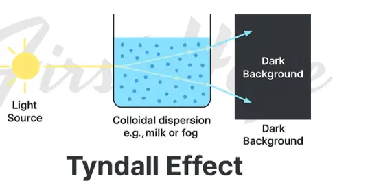 Tyndall Effect Tyndall Effect