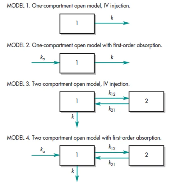 Types of Compartmental Models