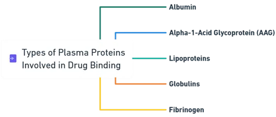 Types of Plasma Proteins Involved in Drug Binding