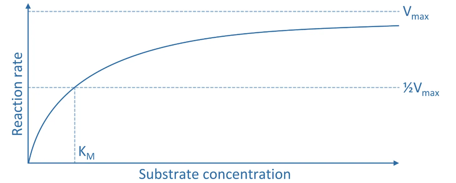Michaelis Menten equation