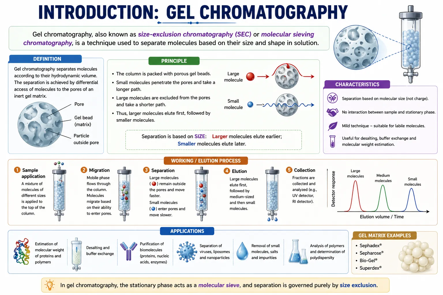 Introduction: Gel Chromatography | Free Topic Wise Notes